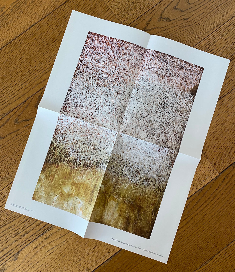José Parlá : ADAPTATION / TRANSLATION book