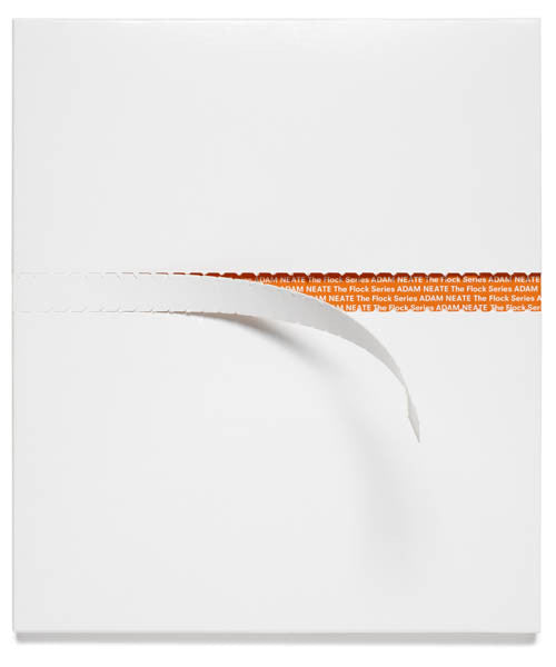 Adam Neate : THE FLOCK SERIES book