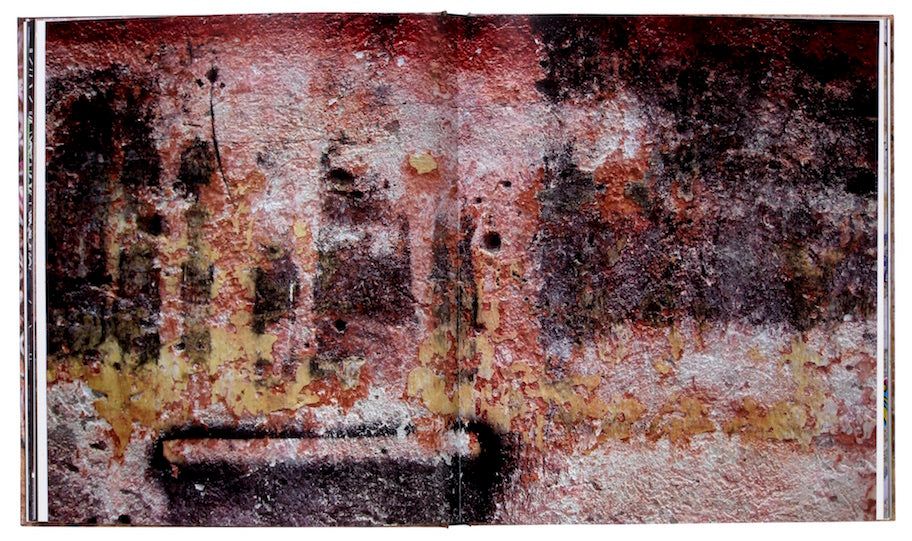 José Parlá : ADAPTATION / TRANSLATION book