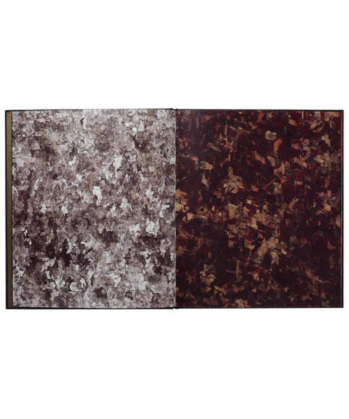 DELTA, BORIS TELLEGEN limited edition book for sale from ELMS LESTERS
