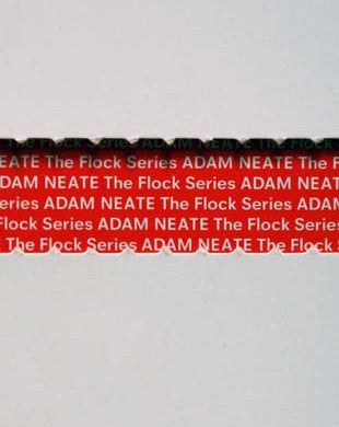 Adam Neate : THE FLOCK SERIES book